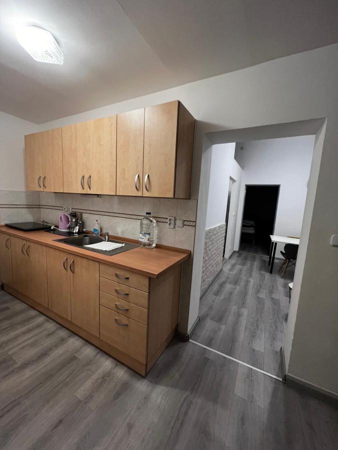 Mlynsky Ostrov Apartment 2 Zdice 외부 사진